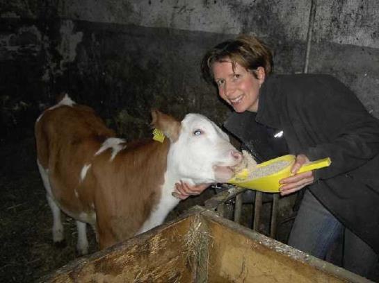 פנסיון Landgasthof-schabus Gasthof