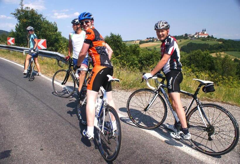 בית מלון כפרי Landgasthof Zur Schönen Wienerin