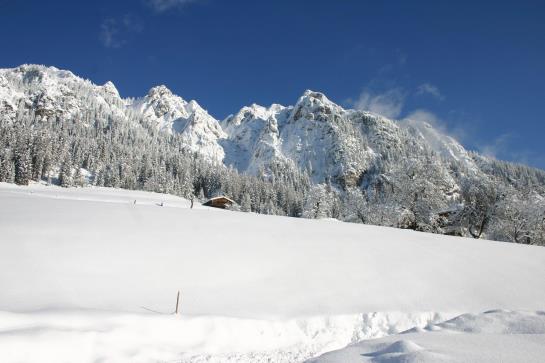 Bed and Breakfast Pension Gratlspitz