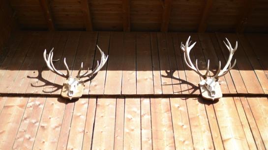 Bed and Breakfast Pension Gula