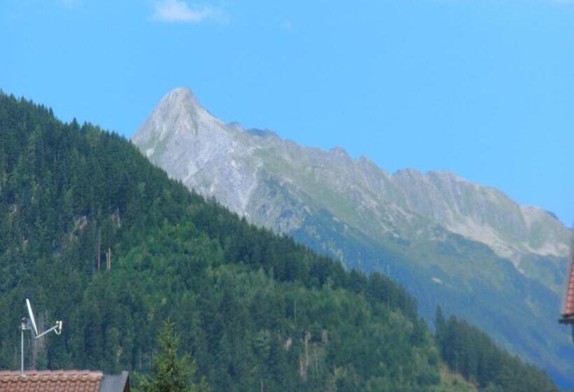 בית מלון כפרי Pension Regina