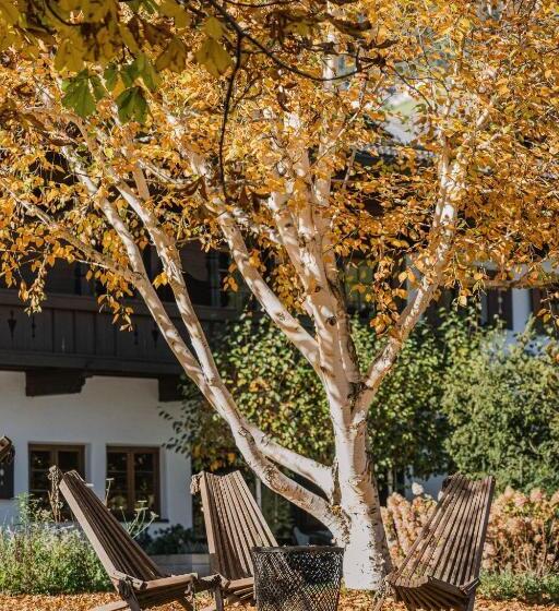 هتل Schönherr Haus