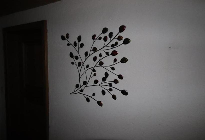 Отель Apartments Seerhof