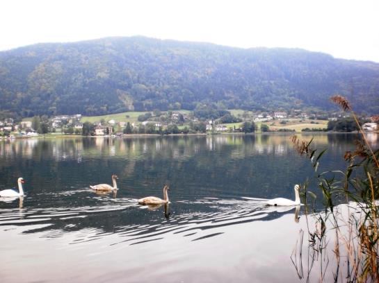 Hotel Bella Vista Wellness