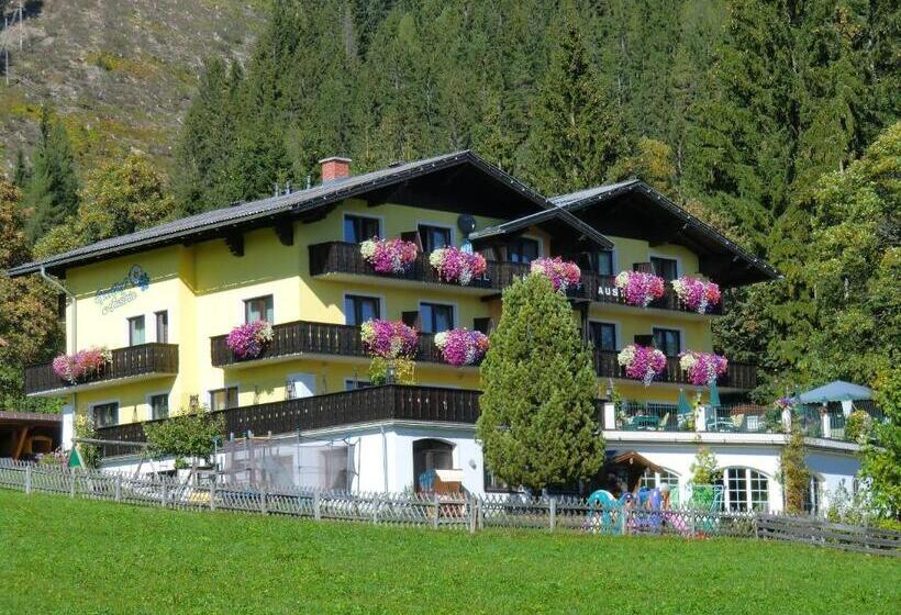 فندق Sporthof Austria