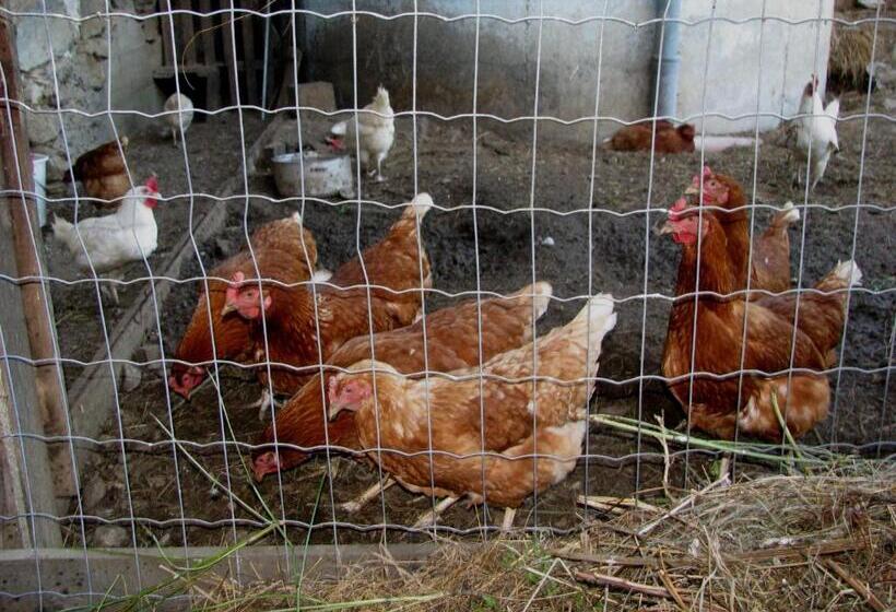 فندق Stabentheiner Hof