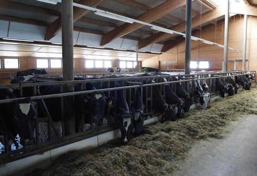 فندق Thomanhof Chalet Appartement