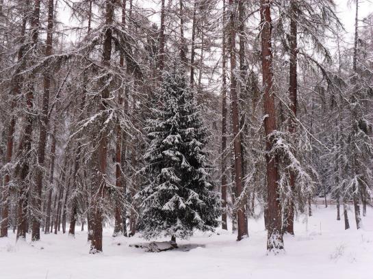 Waldhof Appartements Am Tennisplatz