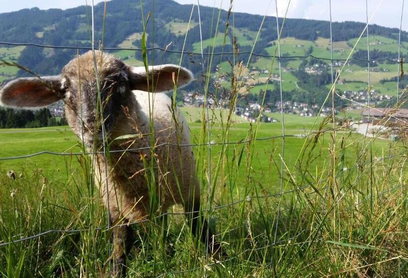 ペンション Gasthaus Obergaisberg