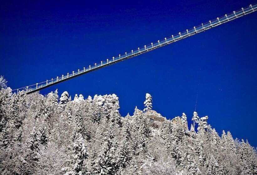 膳宿费 Gasthof Salzstadl