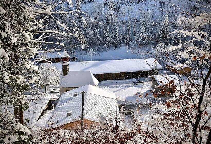 膳宿费 Gasthof Salzstadl