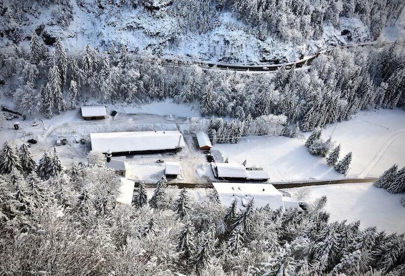 膳宿费 Gasthof Salzstadl