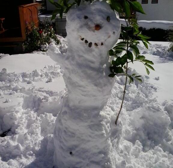 بنسيون Gästehaus Bergland