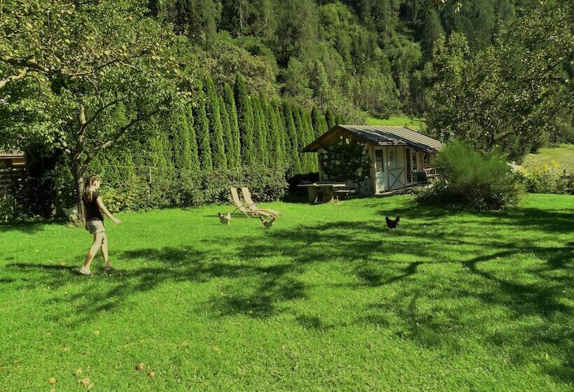 پانسیون Gästehaus Zwischenberger