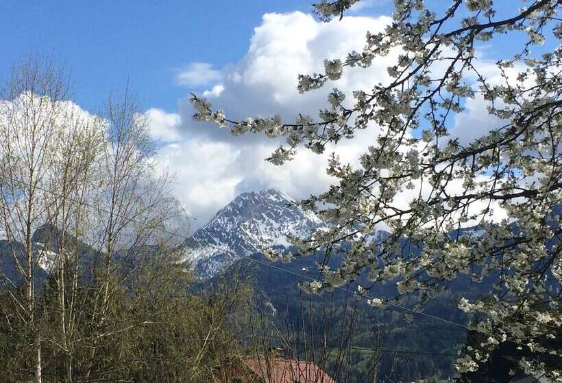 פנסיון Karawanken Lodge