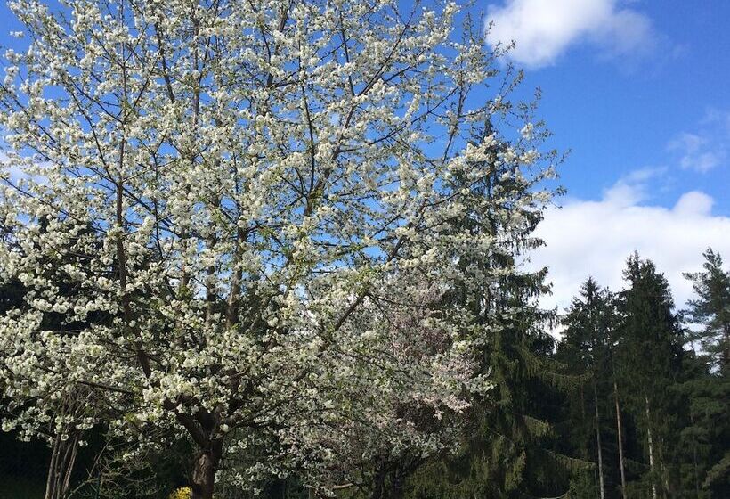 פנסיון Karawanken Lodge