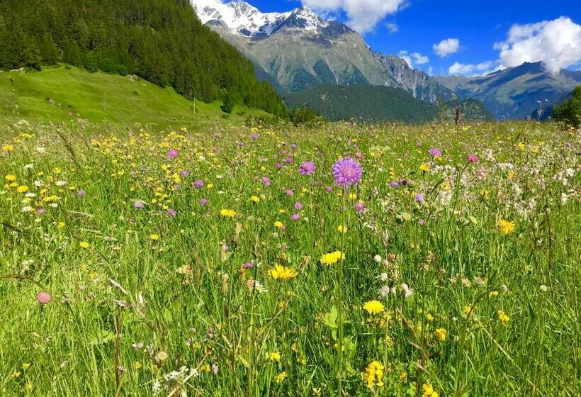 پانسیون Gasthof Martha