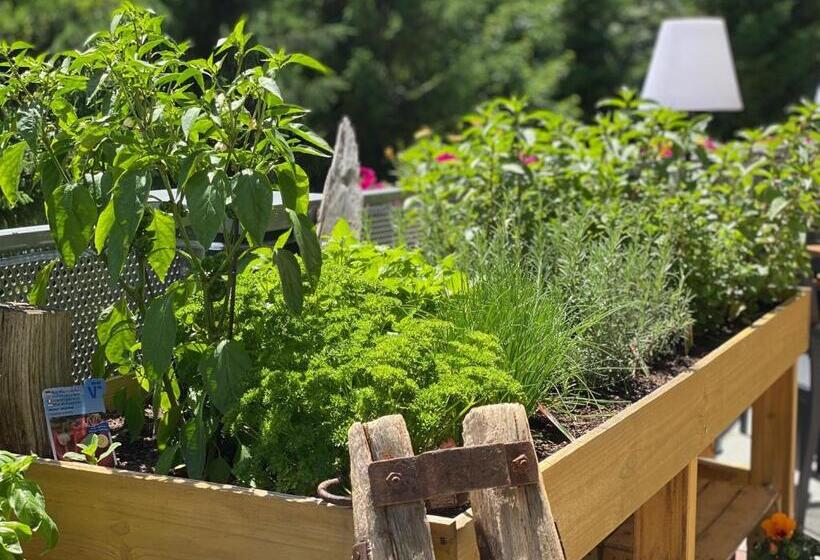 Residenz Hochalm   Ski In   Ski Out