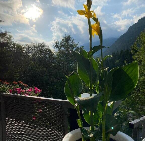 Residenz Hochalm   Ski In   Ski Out