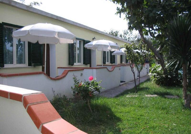 Albergo Villa Hibiscus
