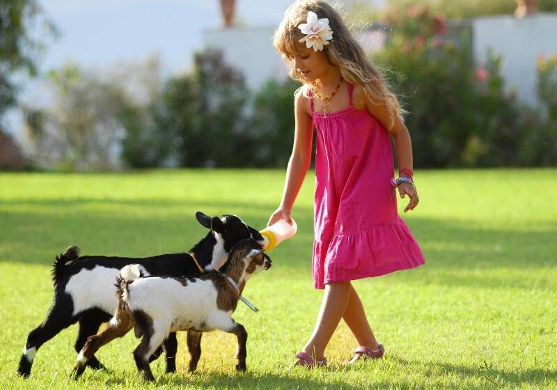 Arbatax Park Resort   Suites Del Mare