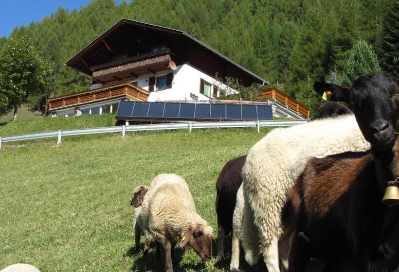 Zirbenhof