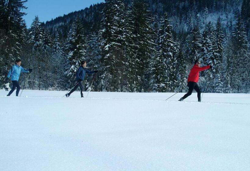 مبيت وإفطار Appartements Ferienwohnungen Alpenblick