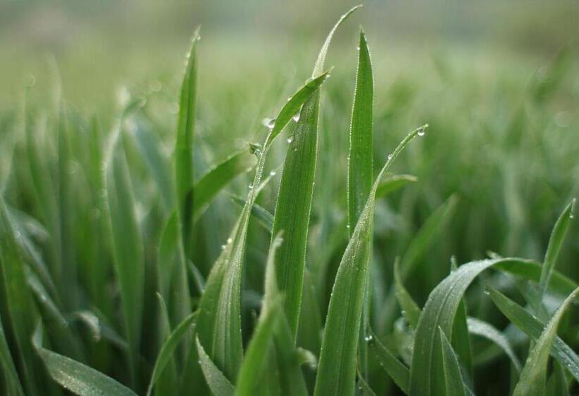 צימר Bauernhofpension Herzog Zu Laah