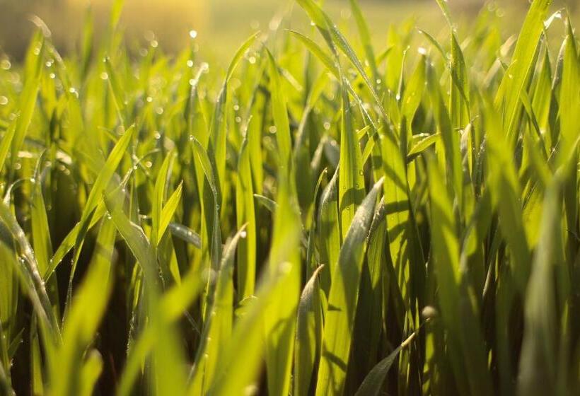 צימר Bauernhofpension Herzog Zu Laah