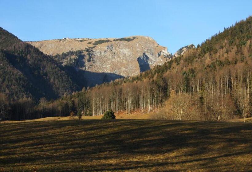 Bed and Breakfast Haus Seeschwalbe