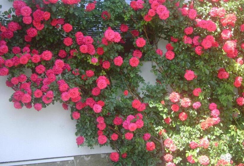 ベッドアンドブレックファースト Landhaus Hinteregger