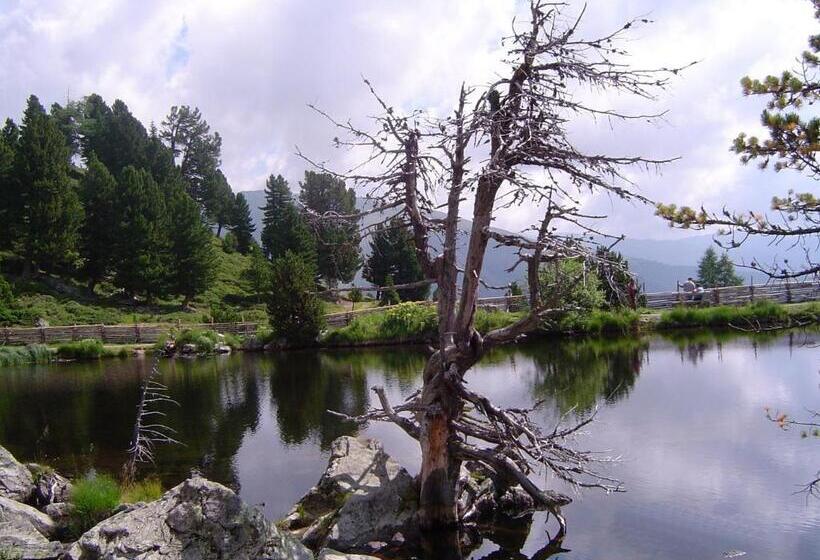 ベッドアンドブレックファースト Landhaus Hinteregger