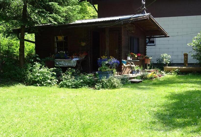 مبيت وإفطار Pension Bayrhammer