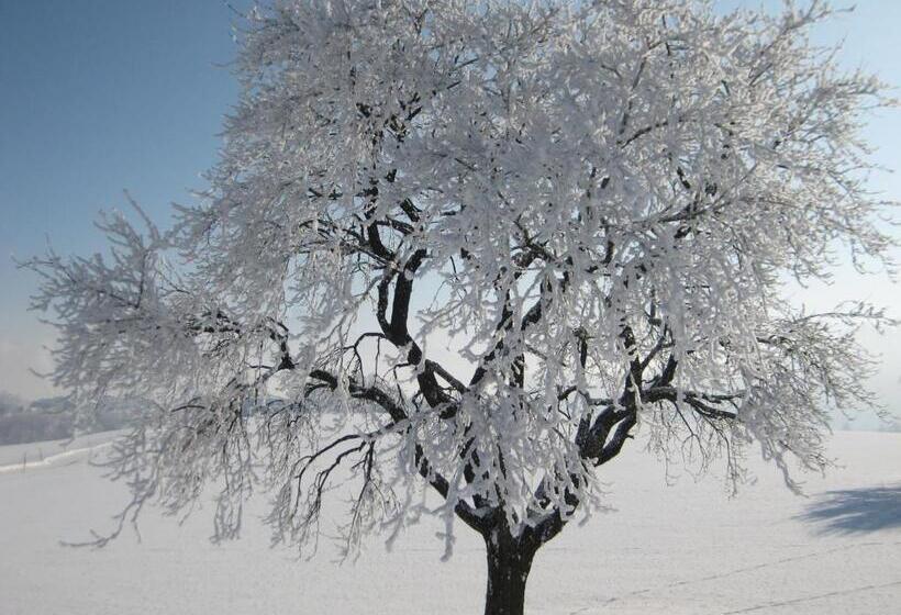 مبيت وإفطار Pension Kreuzinger, 5310 Tiefgraben