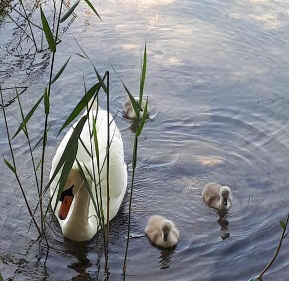 مبيت وإفطار Pension Kreuzinger, 5310 Tiefgraben