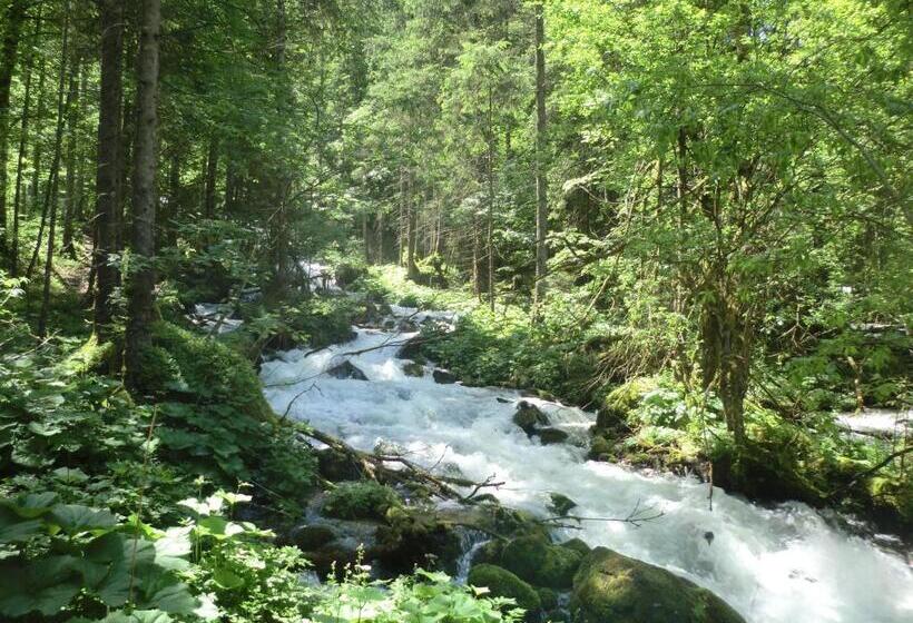 住宿加早餐  Pension Leprich