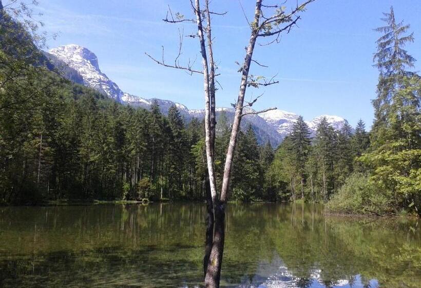 住宿加早餐  Pension Leprich
