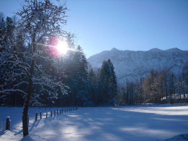 住宿加早餐  Pension Leprich
