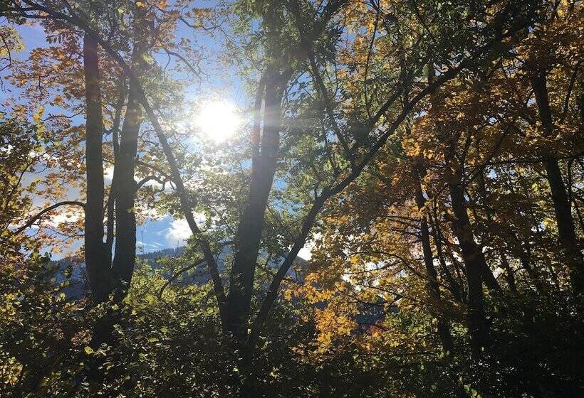 ベッドアンドブレックファースト Pension Südhang