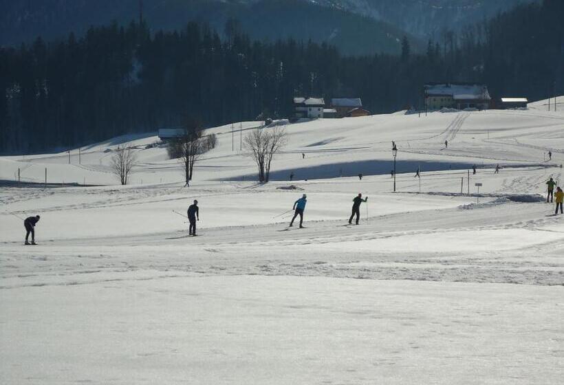 مبيت وإفطار Pension Wald