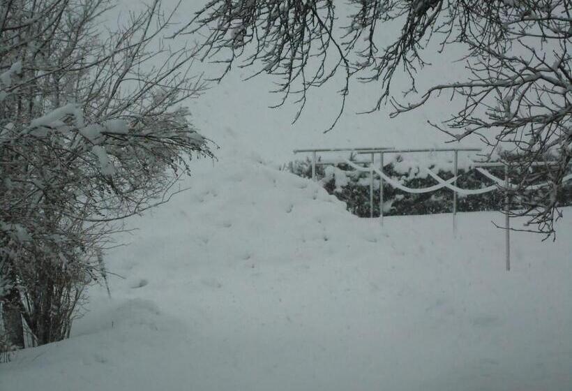 مبيت وإفطار Pension Wald