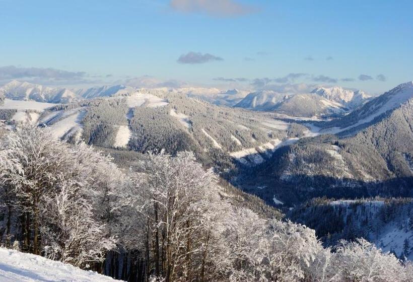 مبيت وإفطار Pension Wald