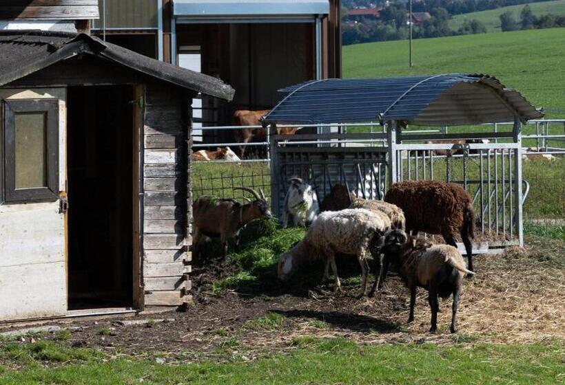 ベッドアンドブレックファースト Pension Zenzlgut