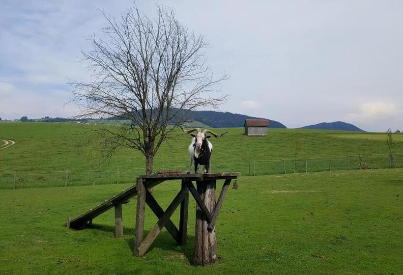 ベッドアンドブレックファースト Pension Zenzlgut