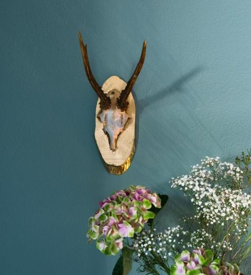 Boutiquehotel Hubertushof