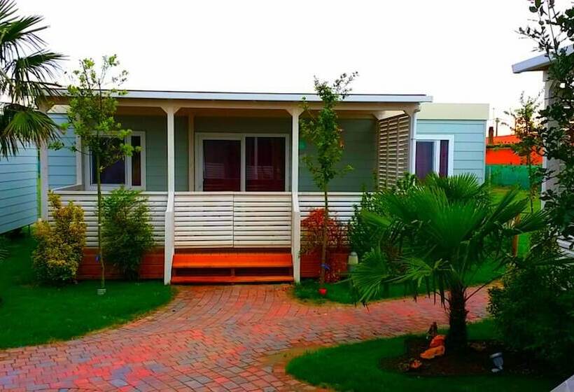 Internazionale   Family Village