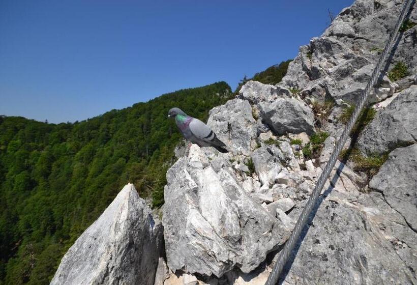 Gesundheitshof Lohninger