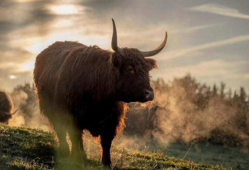 هتل Aichingerwirt