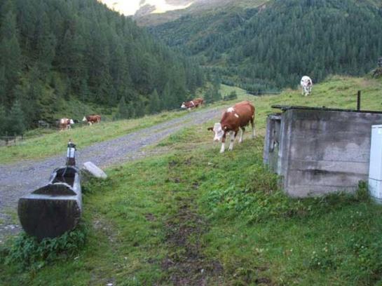 בית מלון כפרי Alfenalm Huette Oberschaller