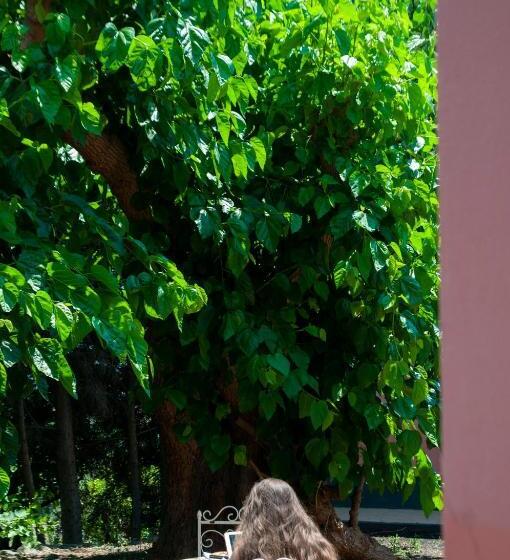 ホテル Antico Borgo Etneo Agriturismo